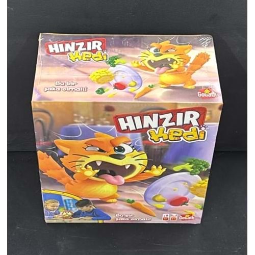 921294 HINZIR KEDİ (4)