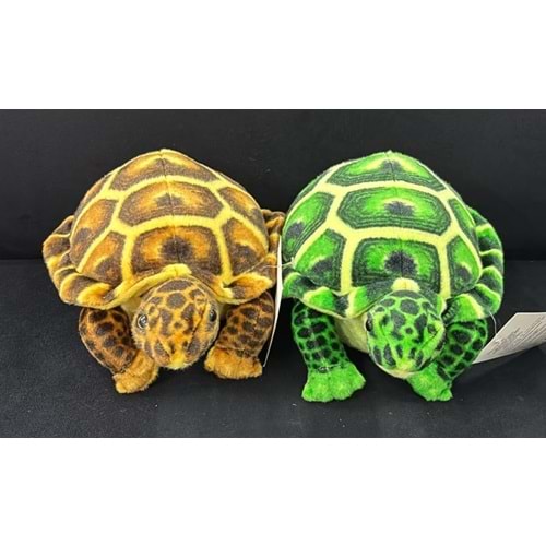 HS-13531 CAMGÖZ KAPLUMBAĞA PELUŞ (94)